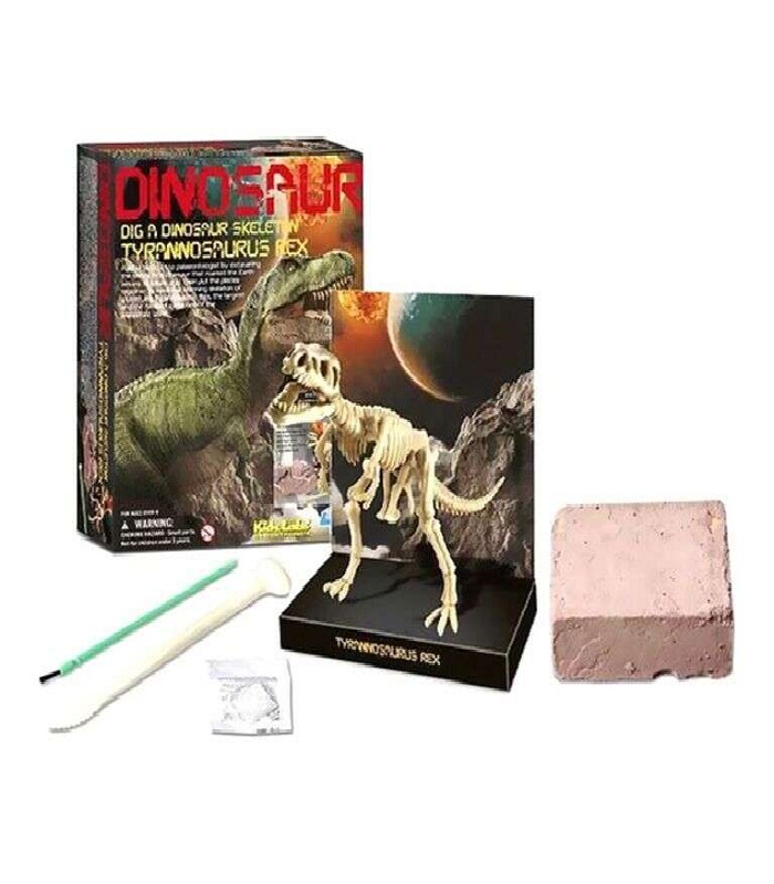 4m Dig A Dinosaur Skeleton Kit
