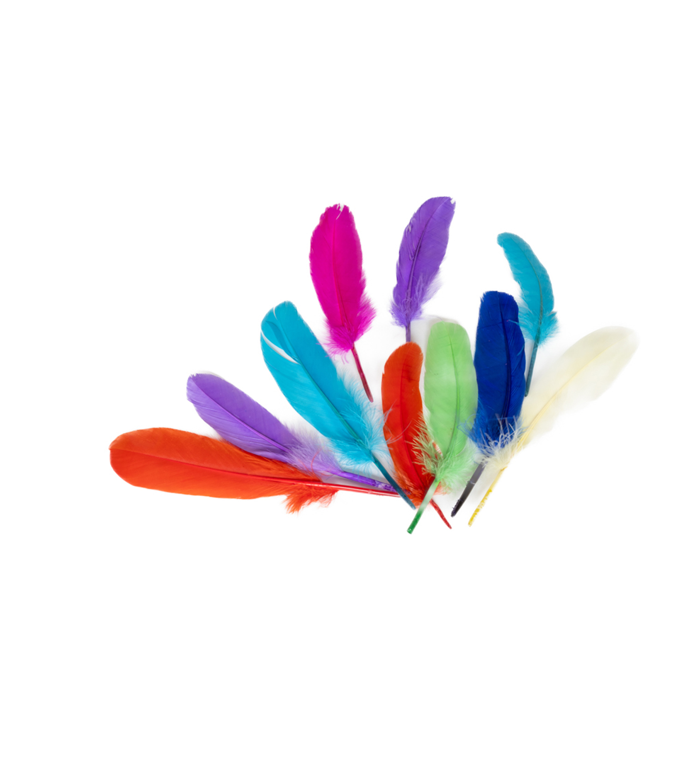 Pack of colored feathers