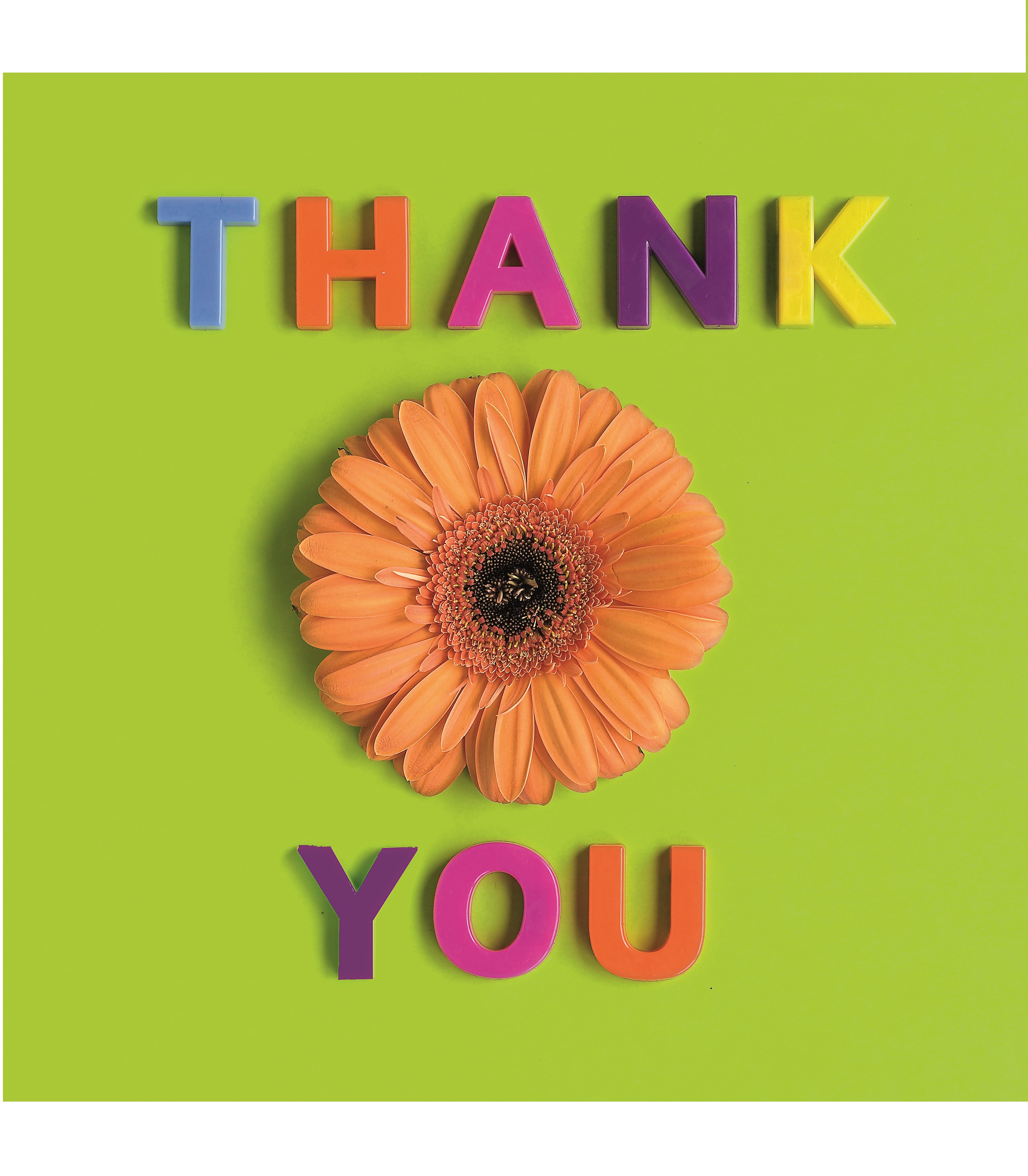 Editor : "Thank You" Greeting Card