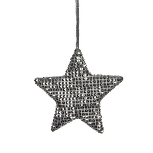 Ornament Star L16.5W2.5H16.5 Silver
