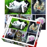 Trefl 1500 Piece Adult Large Image Just Cat Things Collage Fun Jigsaw Puzzle